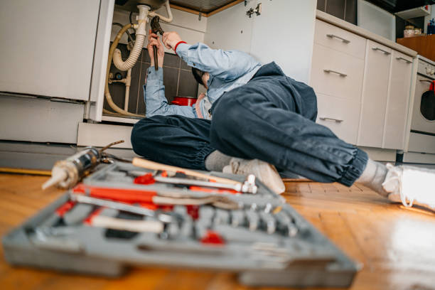 Best Pipe Repair Near Me  in De Soto, IL