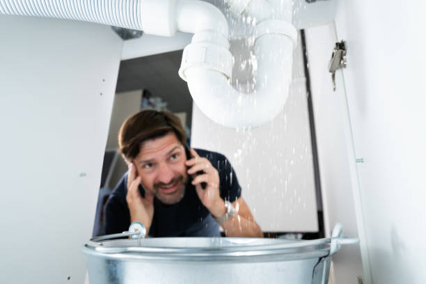 Best Plumbing Services Near Me  in De Soto, IL