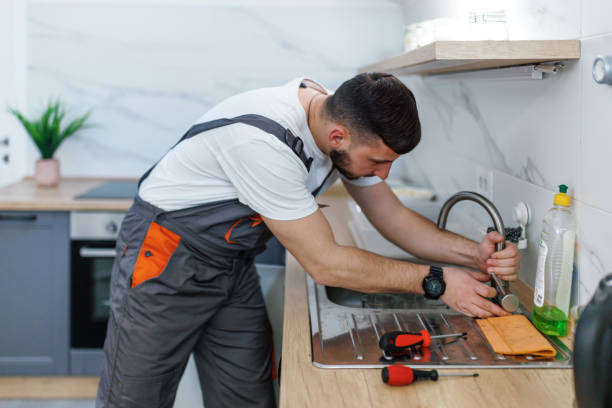 Best Plumbing Inspection Services  in De Soto, IL