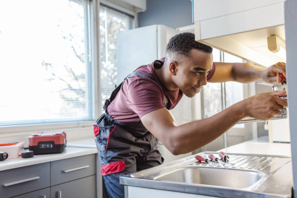 Best Same-Day Plumbing Service  in De Soto, IL